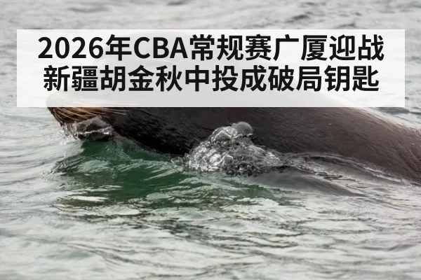 2026年CBA常规赛广厦迎战新疆胡金秋中投成破局钥匙